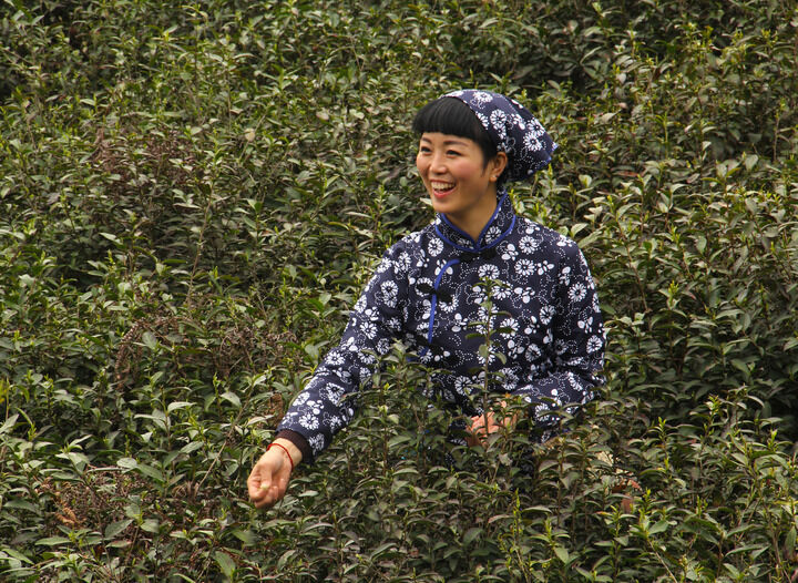 最新动漫